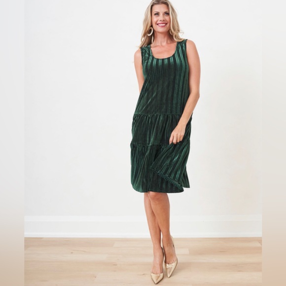 NWT Cleo Green Velvet Scoop Neck Swing Sleeveless Dress XL - Picture 5 of 6